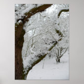 Poster Wintersneeuwscène afdrukken (Voorkant)