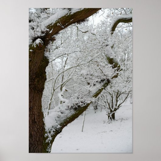Poster Wintersneeuwscène afdrukken (Voorkant)