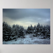 Poster WinterStorm (Voorkant)