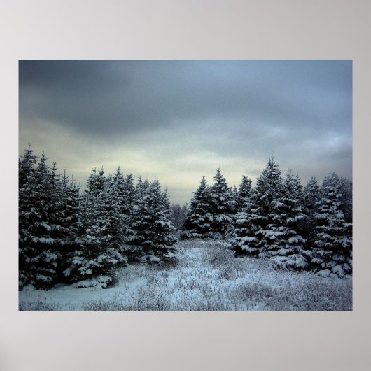 Poster WinterStorm (Voorkant)