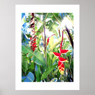Poster wit (18 x 24 inch) The Red Flowers Bali