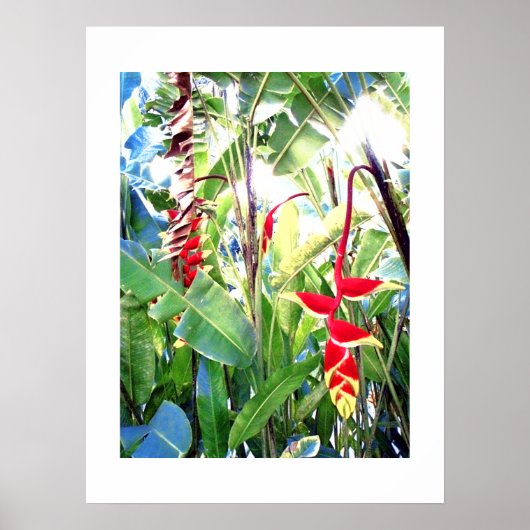 Poster wit (18 x 24 inch) The Red Flowers Bali (Voorkant)