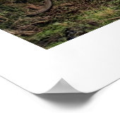 Poster wit (18 x 24 inch) Ubud Bike Bali (Hoek)