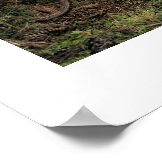 Poster wit (18 x 24 inch) Ubud Bike Bali (Hoek)