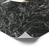 Poster Witte boxer (Hoek)