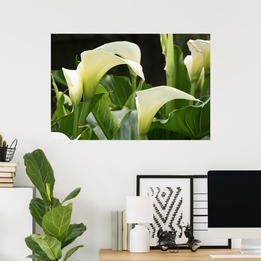 Poster, WITTE CALLA LILIES_ Horiz # 1 Poster (Thuiskantoor)