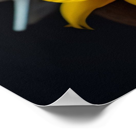 Poster - Witte duif geel bloemen rust (Hoek)