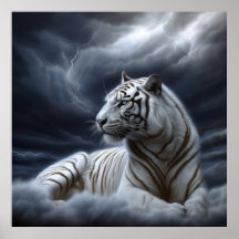 Poster Witte Fang
