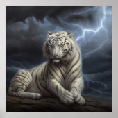 Poster Witte Kruis (Voorkant)