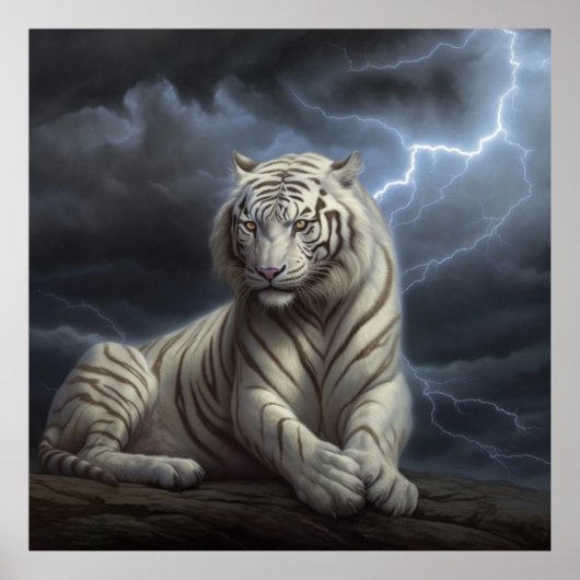 Poster Witte Kruis (Voorkant)