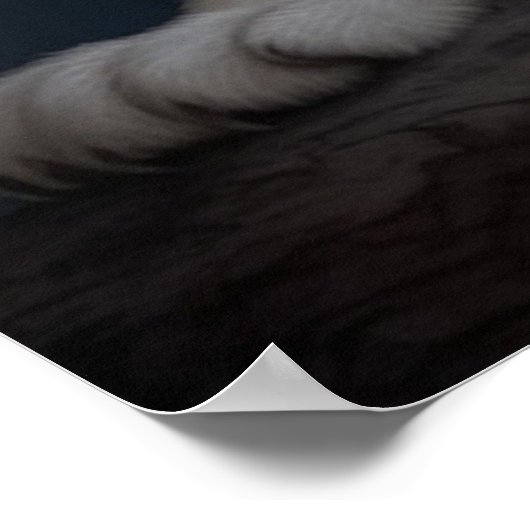 Poster Witte Kruis (Hoek)