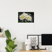 Poster Witte Roos Fotografie (Thuiskantoor)