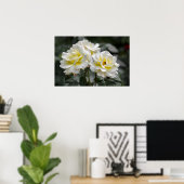 Poster Witte Roos Fotografie (Thuiskantoor)