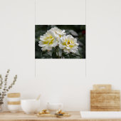 Poster Witte Roos Fotografie (Keuken)