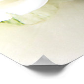 Poster witte rozen (Hoek)