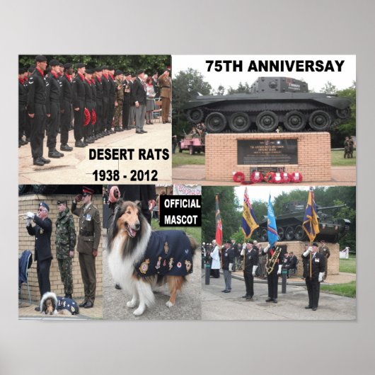 Poster woestijn Rat 75e verjaardag (Voorkant)