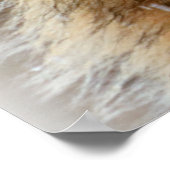 Poster/Wolf Poster (Hoek)