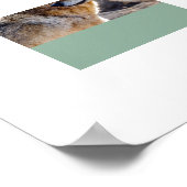 Poster-Wolven Poster (Hoek)