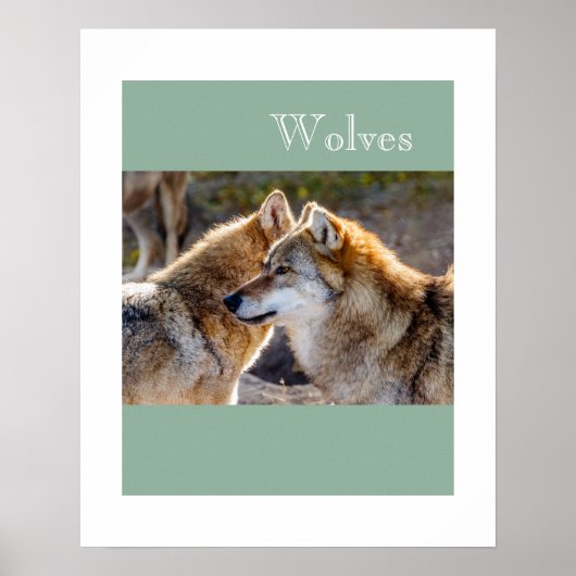Poster-Wolven Poster (Voorkant)