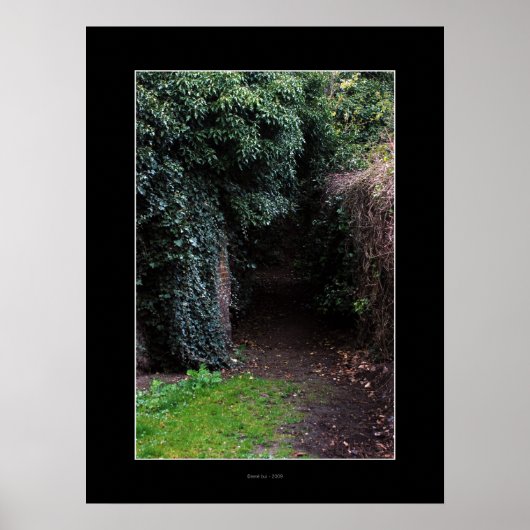 Poster WONDERLAND (Voorkant)