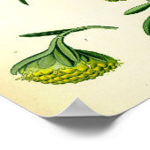 Poster wormhout (Hoek)