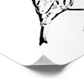 Poster - Wren naar kleur (Hoek)