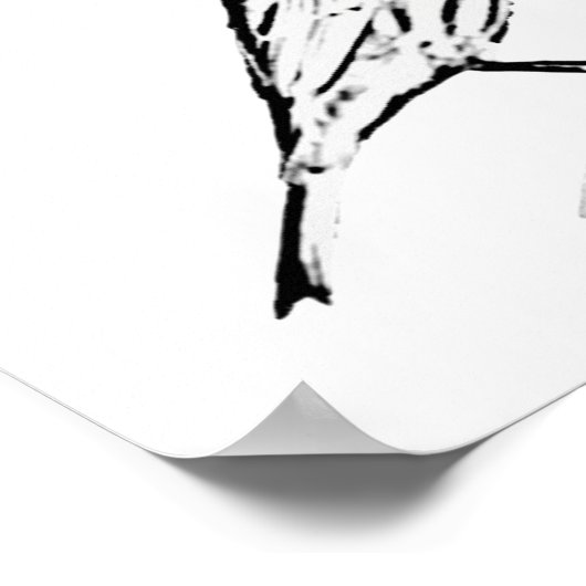 Poster - Wren naar kleur (Hoek)