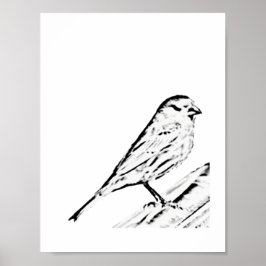 Poster - Wren naar kleur