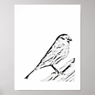 Poster - Wren naar kleur