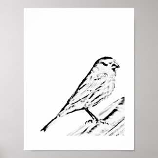 Poster - Wren naar kleur