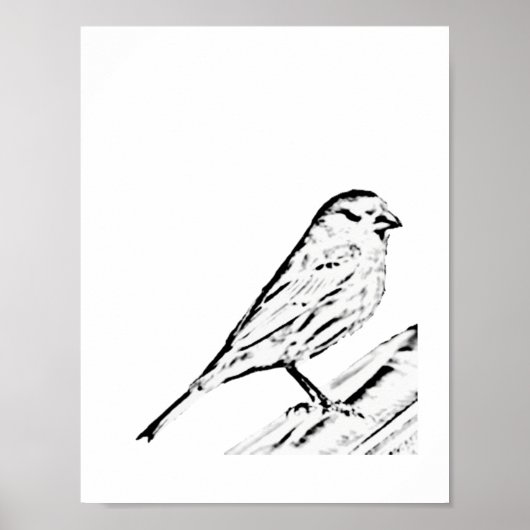 Poster - Wren naar kleur (Voorkant)