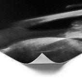 POSTER - X-RAY MUSIC SKELETON BLACK GRAY B&W (Hoek)