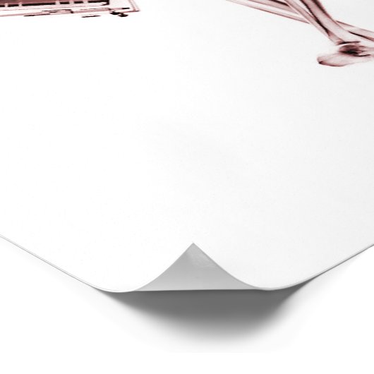 Poster - X-Ray Skeleton Couple Rood (Hoek)