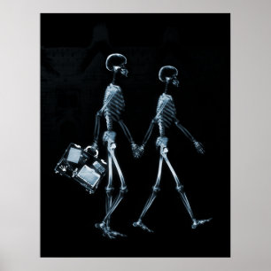 Poster X-Ray Skeleton Couple Traveling Black Blue