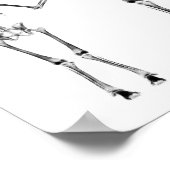 POSTER - X-RAY SKELETON FAMILIE BLACK & WHITE (Hoek)
