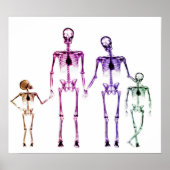 POSTER - X-RAY SKELETON FAMILIE WHITE ORIGINAL (Voorkant)