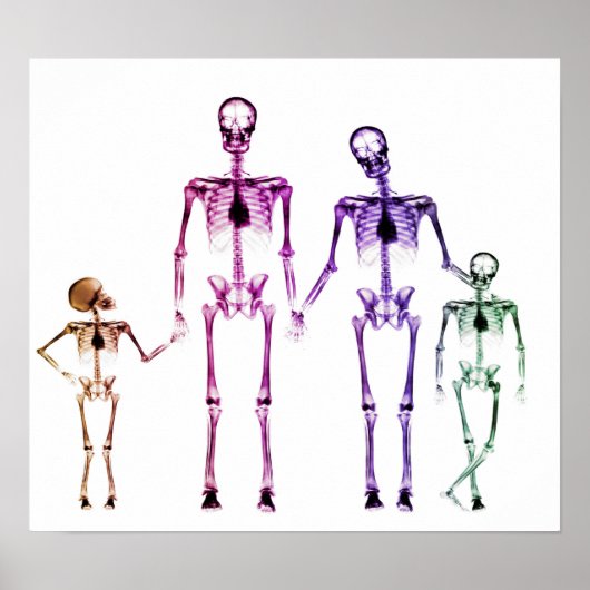POSTER - X-RAY SKELETON FAMILIE WHITE ORIGINAL (Voorkant)