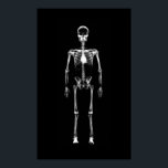 Poster - X-Ray Vision Single Skeleton Black White<br><div class="desc">X-Ray Vision Single Skeleton Black White van hoge kwaliteit, zeer verzamelbaar en eenvoudig aan te passen röntgenstijl skeletontwerp. Een modern en spooky Halloween & Gothic-stijldesign, speciaal gemaakt voor alle mensen in vreemde kunst. Dit X-Ray Single Spooky Skeleton ontwerp van Galleria Voxeed's Collectie voor röntgenvideo Vision Skeleton maakt een totaal cool,...</div>