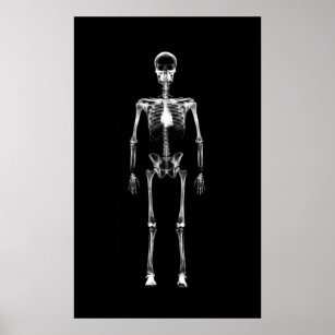 Poster - X-Ray Vision Single Skeleton Black White
