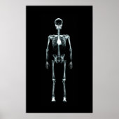 Poster - X-Ray Vision Single Skeleton Origineel (Voorkant)