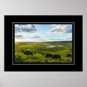 Poster Yellowstone Buffalo (Voorkant)