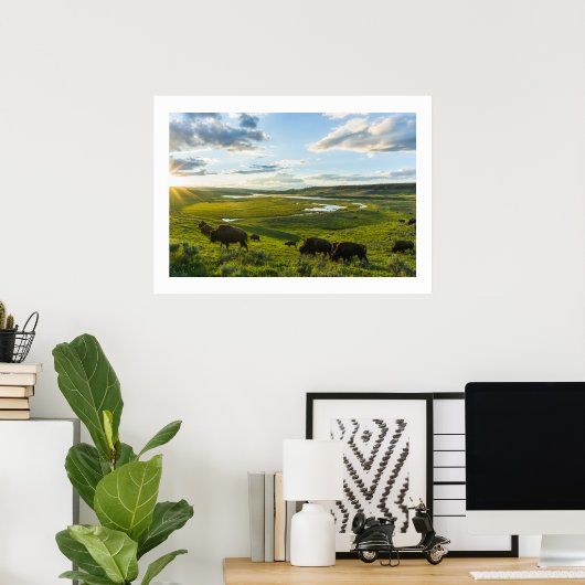 Poster Yellowstone Buffalo (Thuiskantoor)