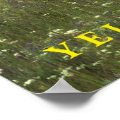 Poster Yellowstone Elk (Hoek)