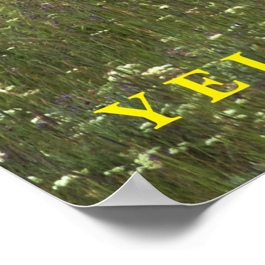 Poster Yellowstone Elk (Hoek)