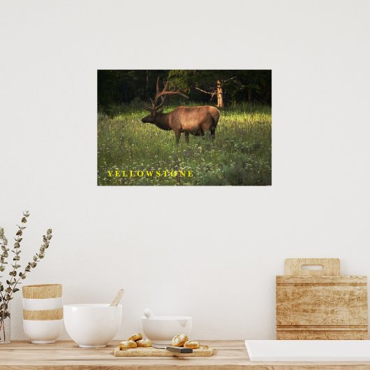 Poster Yellowstone Elk (Keuken)