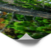 Poster Yellowstone Herfsten (Hoek)