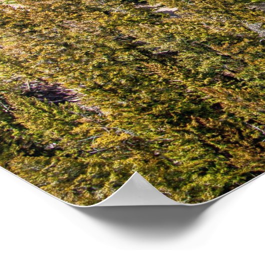 Poster Yellowstone River Canyon (Hoek)