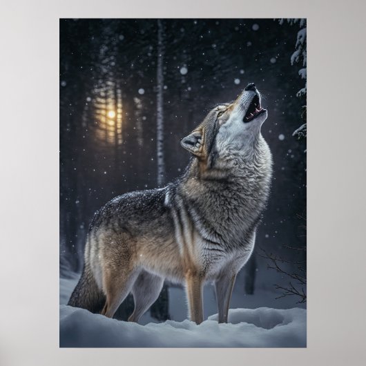 Poster Yellowstone Wolf (Voorkant)