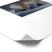 Poster Yellowstone Wolf (Hoek)