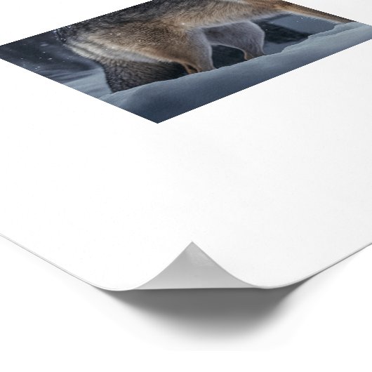 Poster Yellowstone Wolf (Hoek)